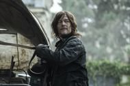 Norman Reedus as Daryl Dixon (Image via AMC)